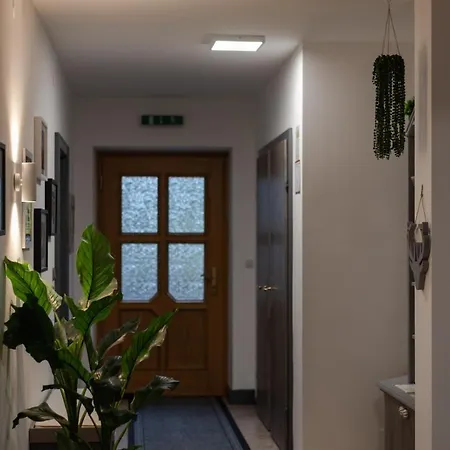 Otilia Apartment