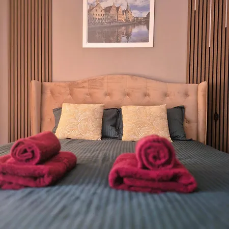 Apartament Otilia *